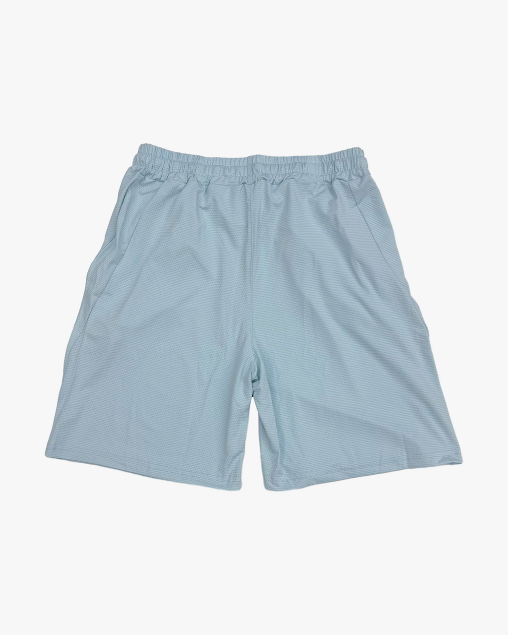 Light Blue Regular Shorts